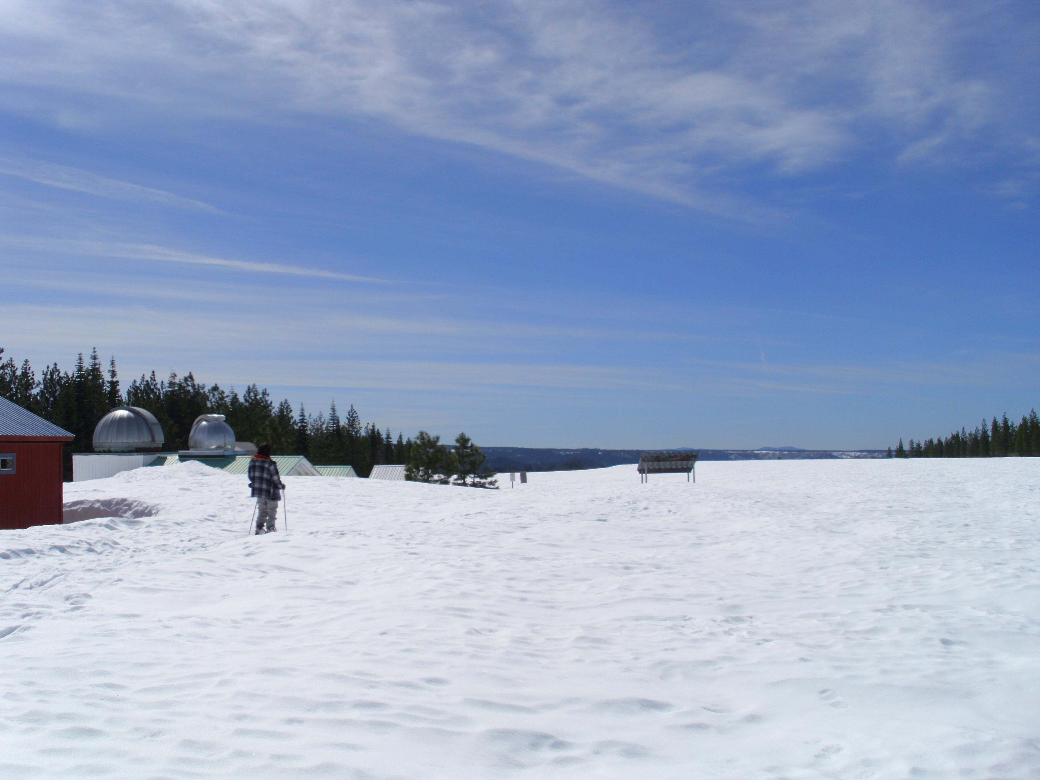 Winter Apr11b