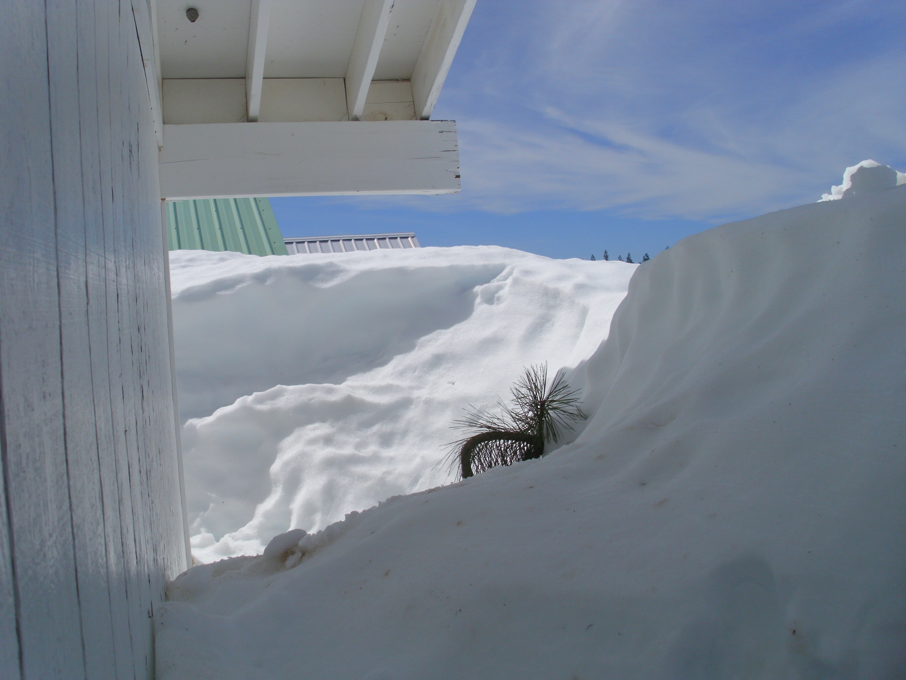 Winter Apr11d