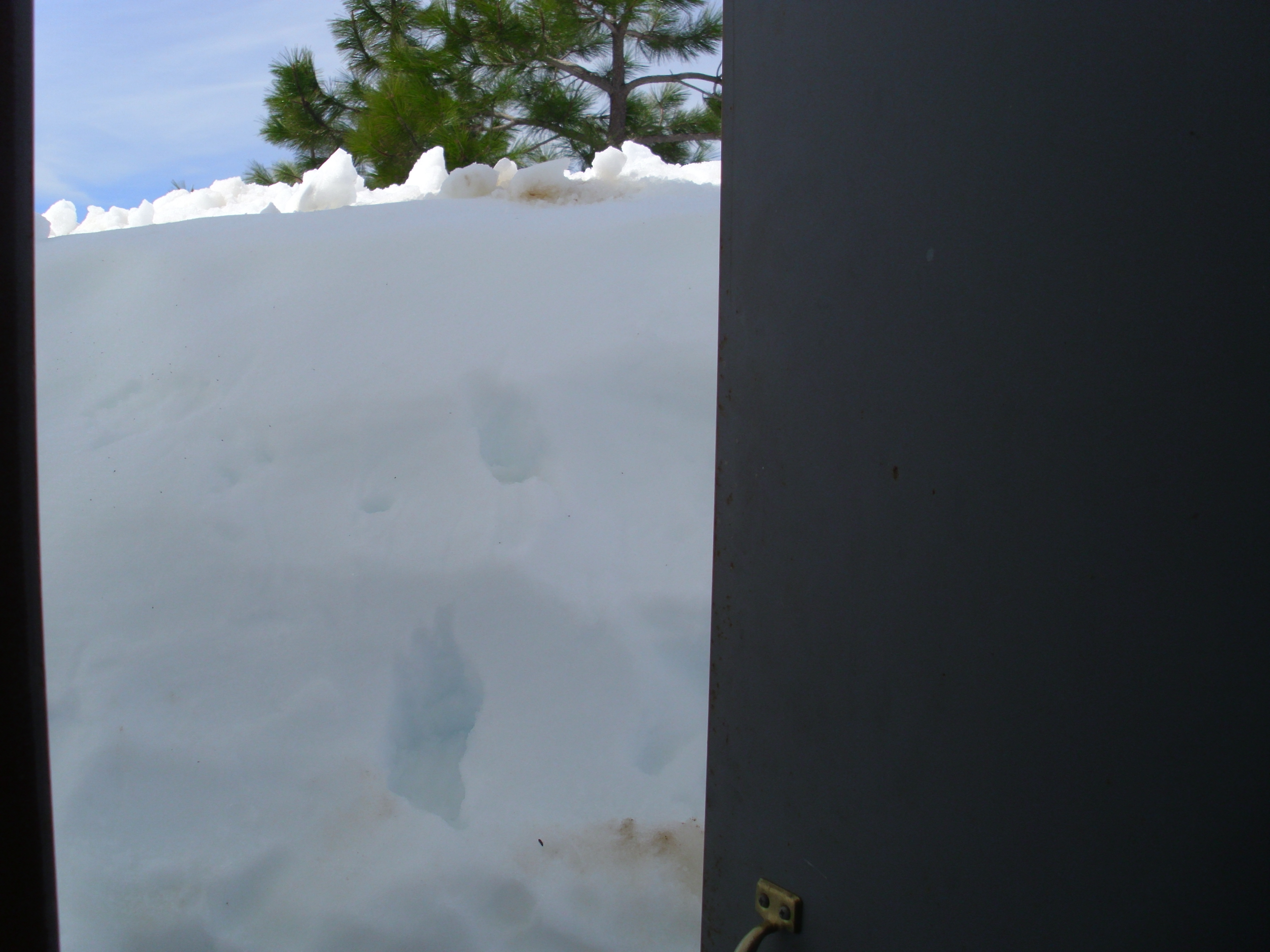 Winter Apr11e