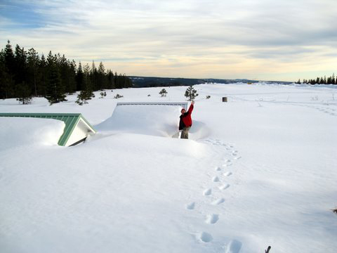 Winter Feb-08a