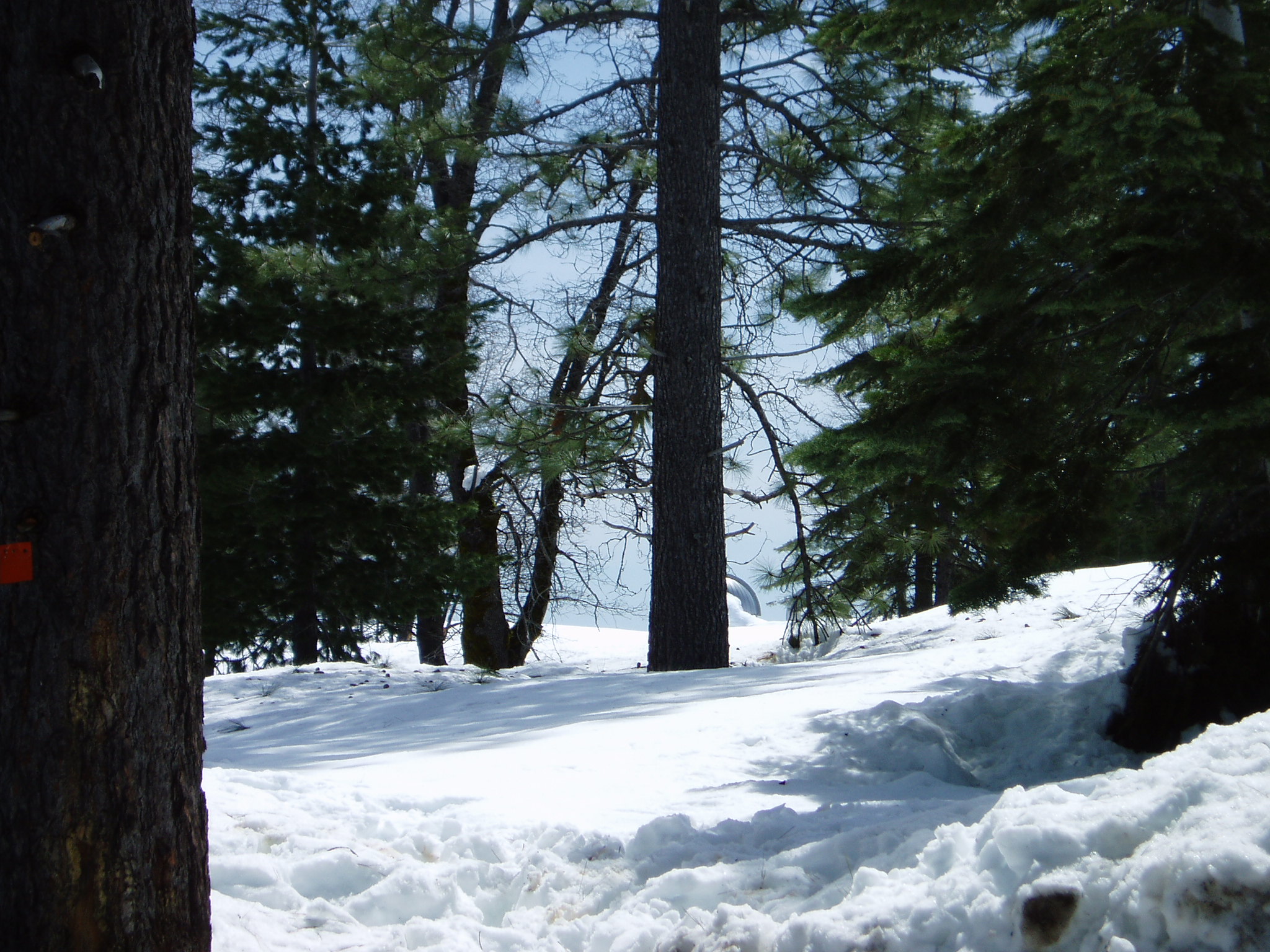 Winter Mar-11e